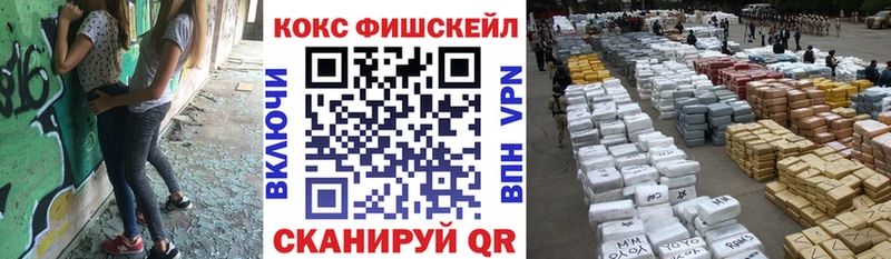 Купить  Лагань  COCAIN Fish Scale 