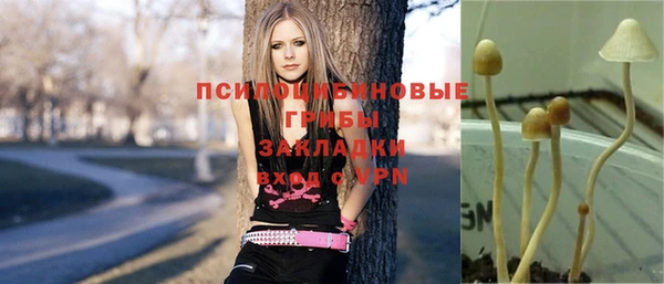 соль ск Горнозаводск