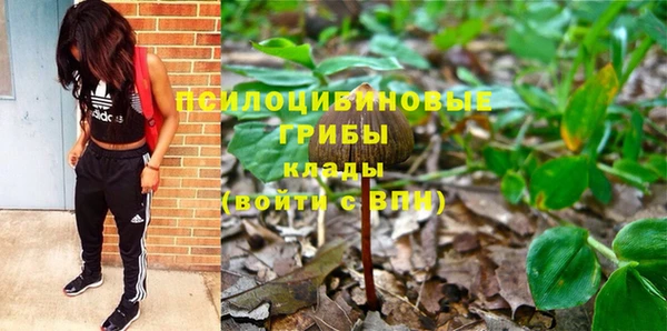 соль ск Горнозаводск