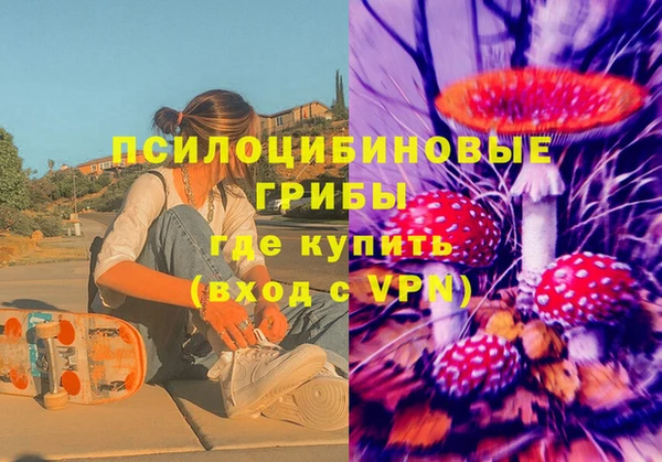 таблы Горняк