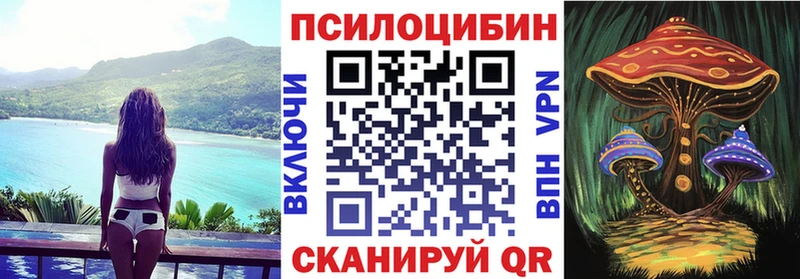 Купить закладки  Лагань  Псилоцибиновые грибы прущие грибы 